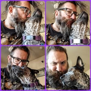 Meet your Posher, Doc & River the Blue Heeler